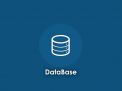 Database