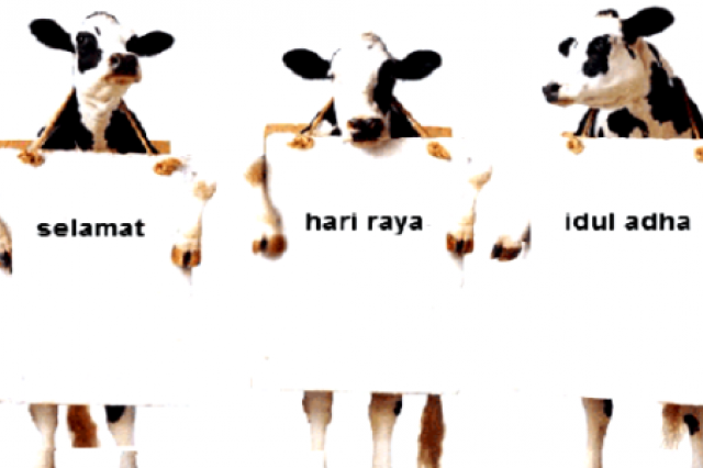 Hikmah dan Keutamaan Berqurban 'Idul Adha