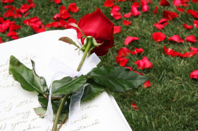 Puisi untuk si cantik